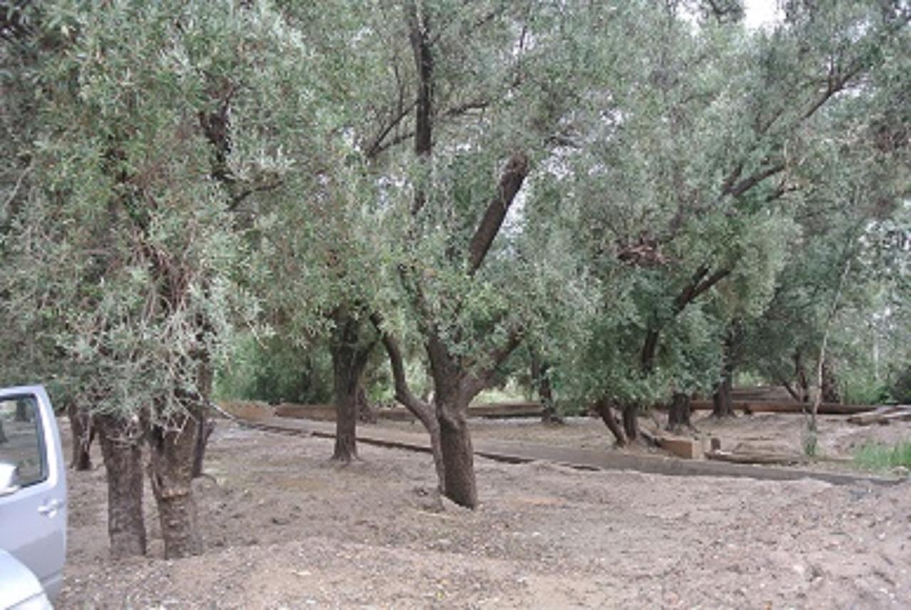 Riad Anma Taroudant Exteriér fotografie